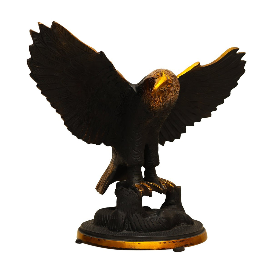 Eagle in Flight - Black in Brass