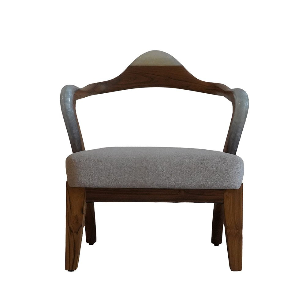 Modern Design Chairs - Indian Rosewood and Resin