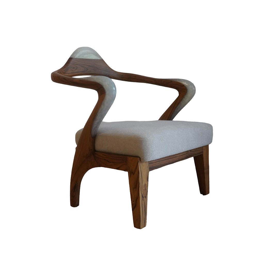 Modern Design Chairs - Indian Rosewood and Resin