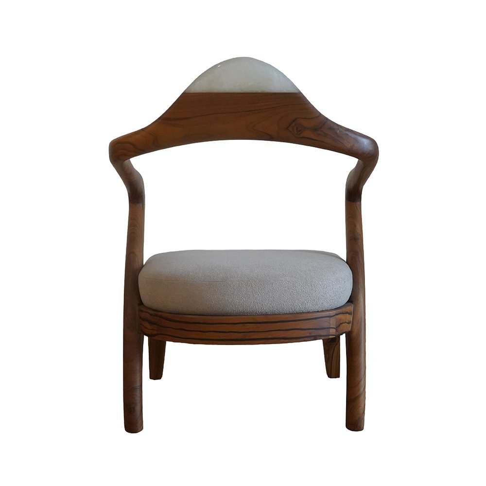 Modern Design Chairs - Indian Rosewood and Resin