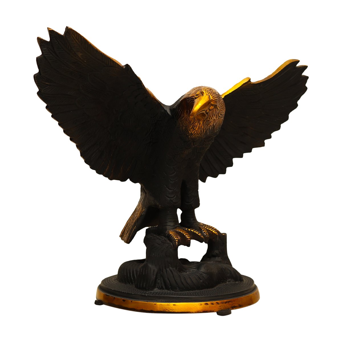 Eagle in Flight - Black in Brass